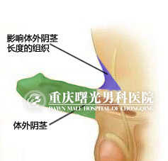 Ϊ����״̬�µ�����ʸ״���