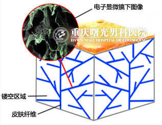 ��ϸ��ϸ����֯�޸�����