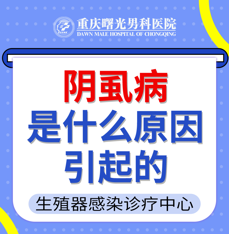 ����������й�������������Ʒ����ĶԱȷ���